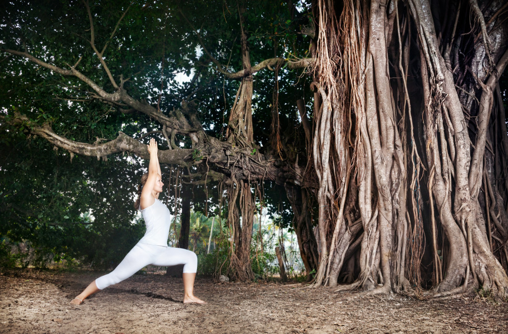 Yoga near banyan tree