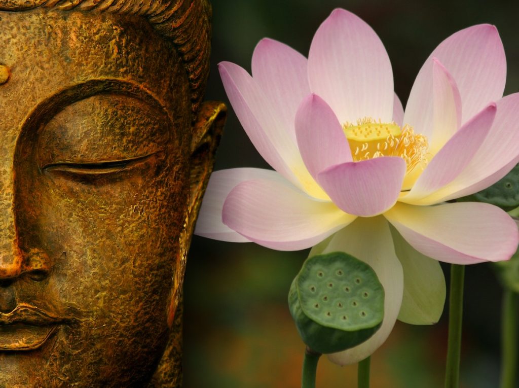 buddha-lotus