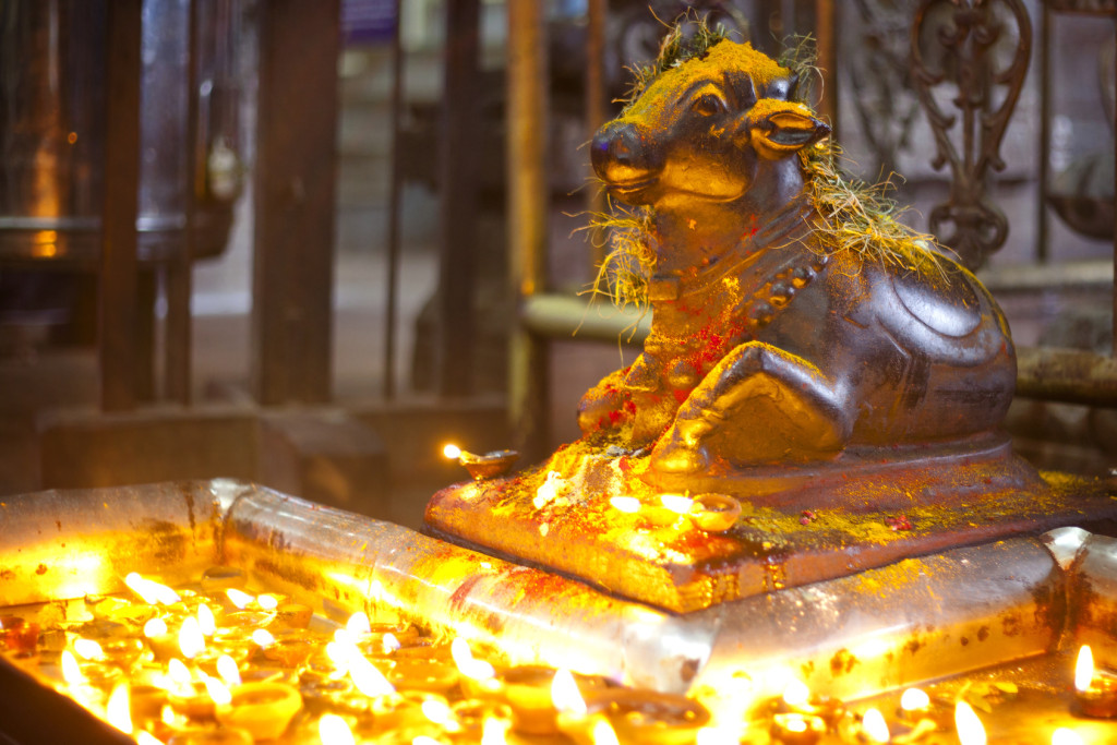Sculpture of Nandi   ( bull ) and  Candles at Meenakshi hindu temple in Madurai, Tamil Nadu